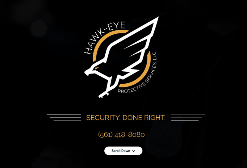 Hawk-eye Security